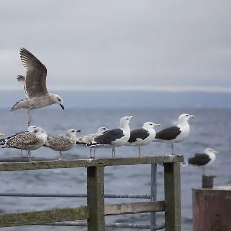 Hotel Koopmanns Und Laedchen