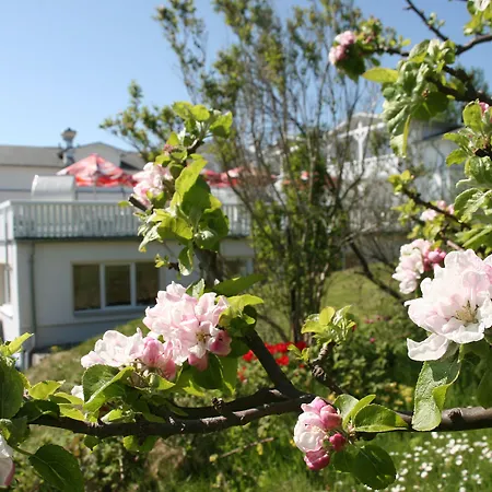 Koopmanns Und Laedchen