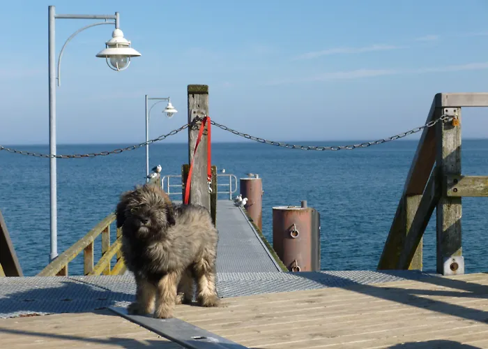 Koopmanns Und Laedchen 奥斯特巴德·哥伦